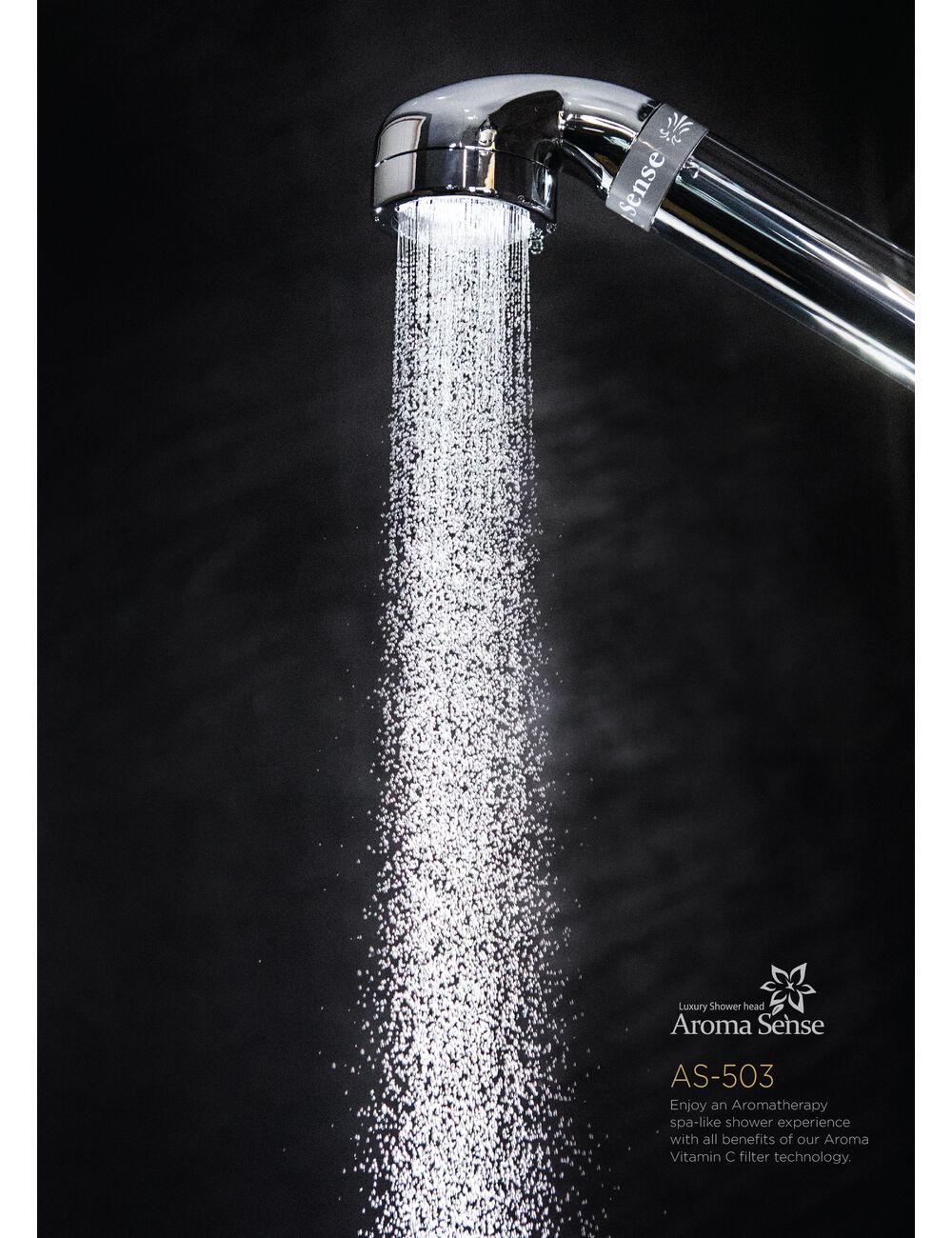 Aroma Sense Hand Held Shower Head 